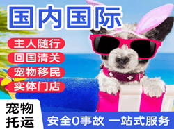 昆冈航空邮寄国际宠物托运 【国